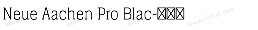 Neue Aachen Pro Blac字体转换